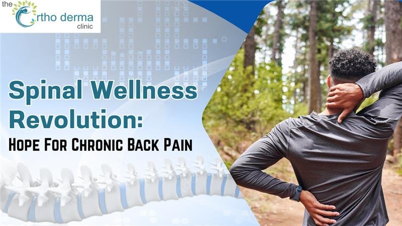 Spinal Wellness Revolution